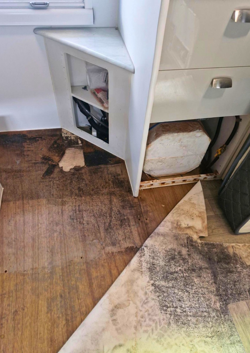 Mould and Mildew Growth Removal 2